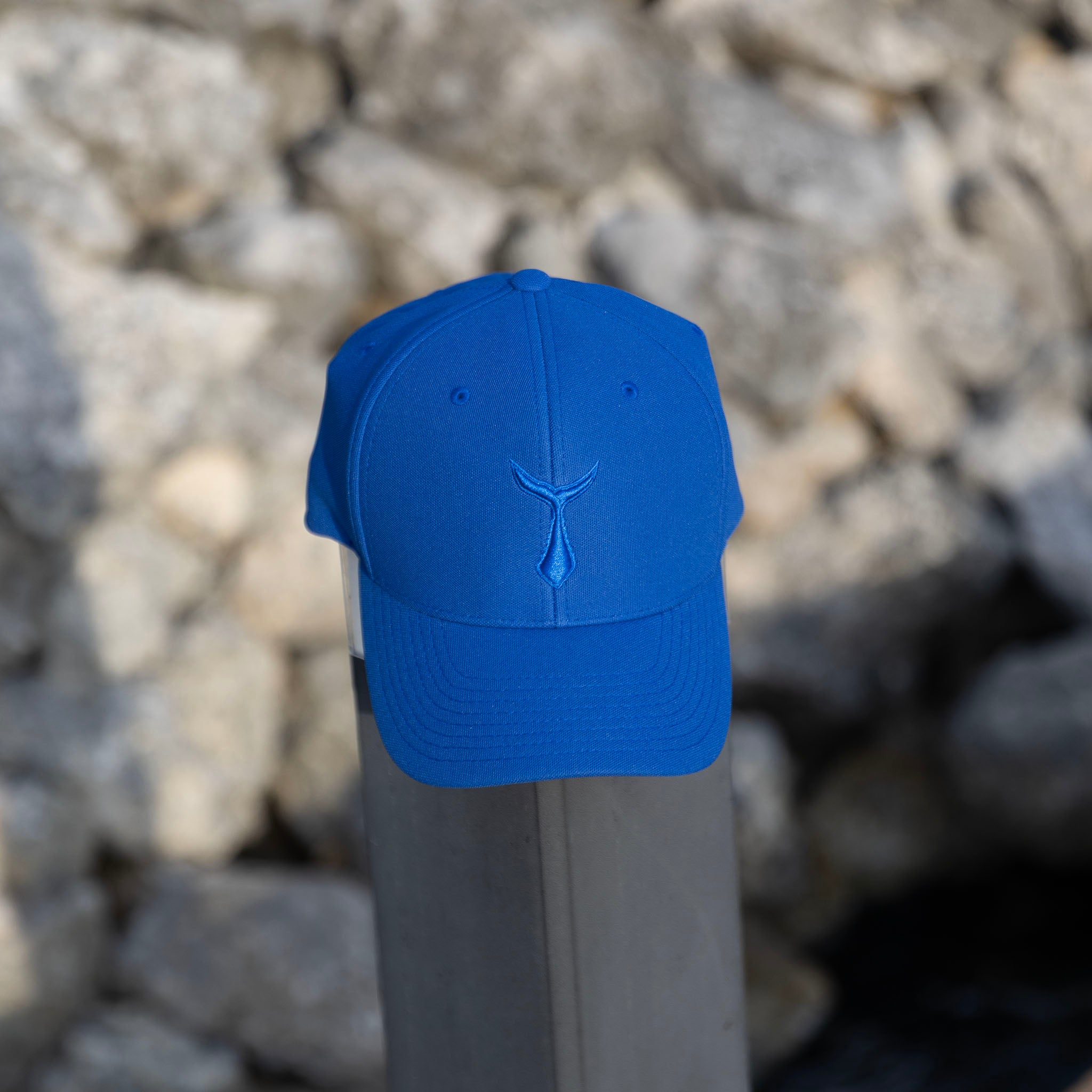 Pro Cap Flexfit 110P