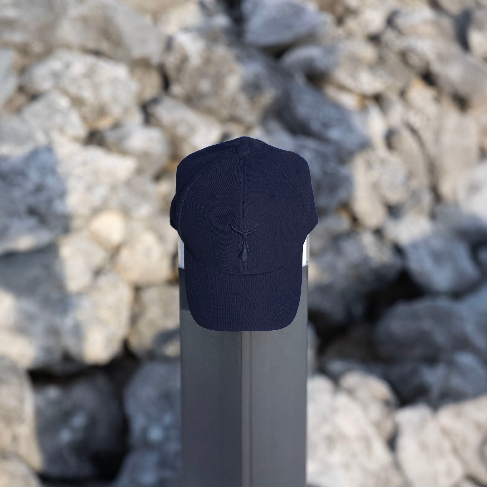 Pro Cap Flexfit 110P
